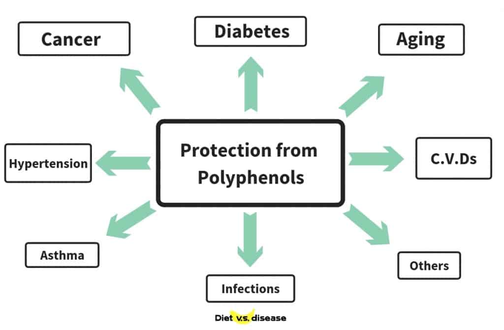 Protection from Polyphenols With Logo