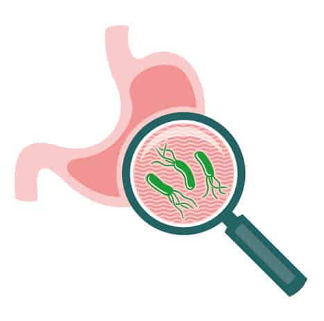 What is H. pylori?