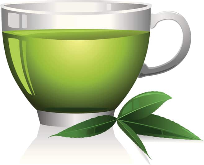 Green Tea Extract in Leptigen - does it work?