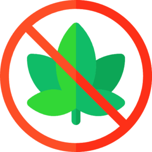 Understanding CBD Gummies: A Beginners Guide