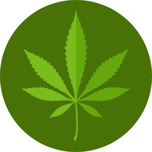 What is Cannabis Oil?