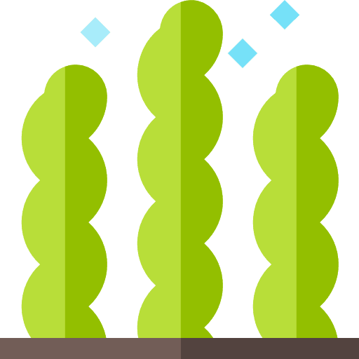 Common Polyols: Xylitol (E967)