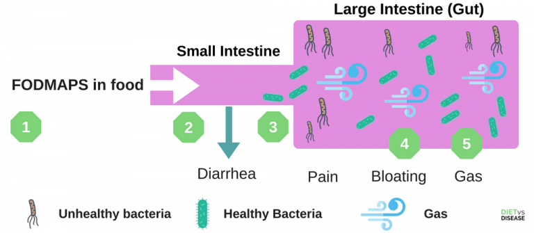 FODMAPS-reaction-in-the-gut-illustration-1-768x335