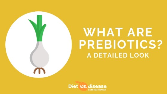 What Are Prebiotics_ A Detailed Look At Prebiotic Foods and Fiber