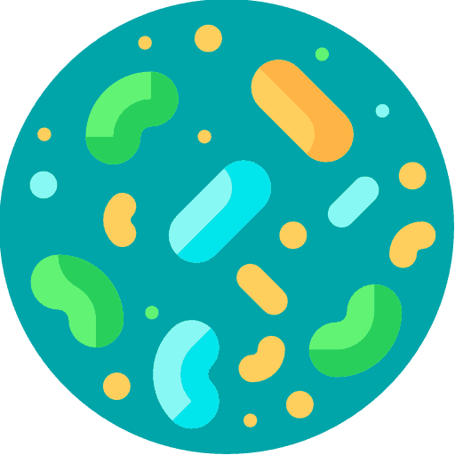 What are Prebiotics?