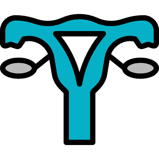 Menstrual Cycle Hormones