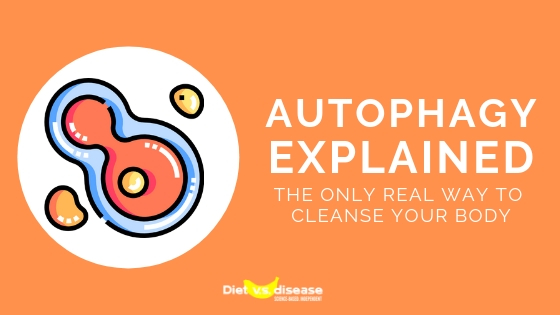 Autophagy Explained_ The Only Real Way To Cleanse Your Body