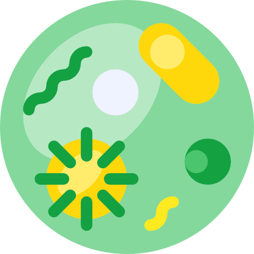 What Are Prebiotics?