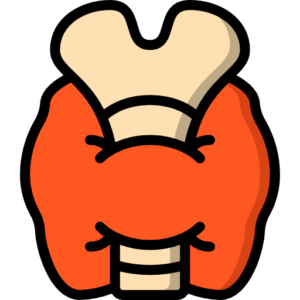 Protein Goal for Weight Loss Calculator