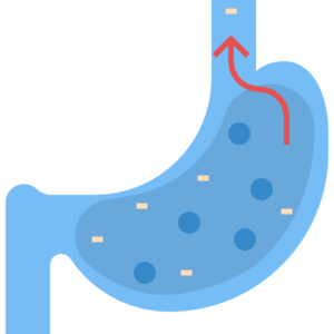 The Gut-Brain Axis And Digestive Disorders