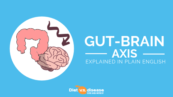 The Gut-Brain Axis Explained in Plain English