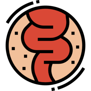 The Gut-Brain Axis