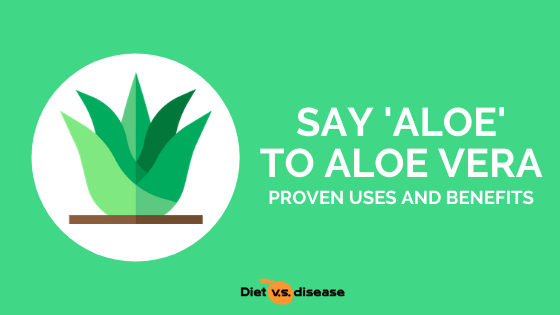 Say ‘Aloe’ to Aloe Vera - Proven Uses and Benefits