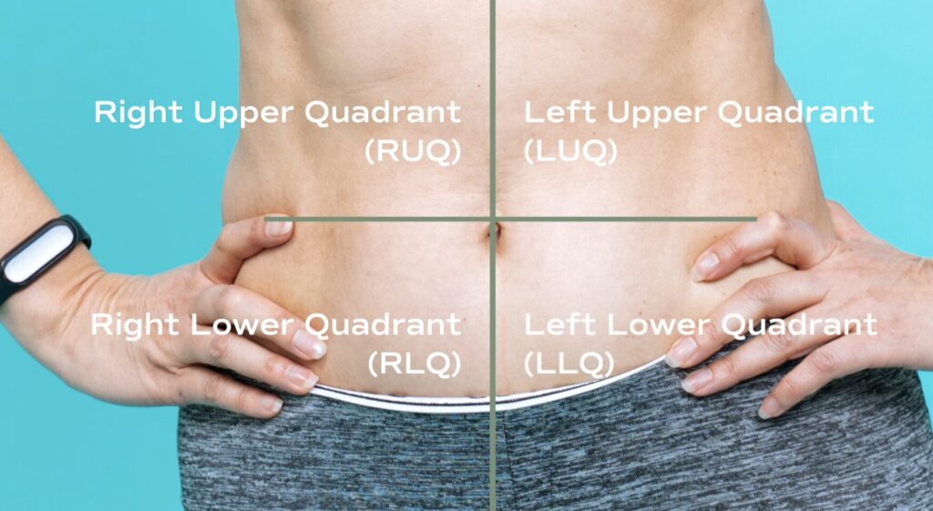 image of stomach showing the different quadrants for stomach pain.