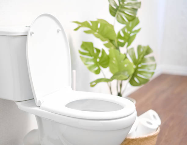 Modern toilet, great design for any purposes. Ceramic toilet bowl with toilet paper near light wall.