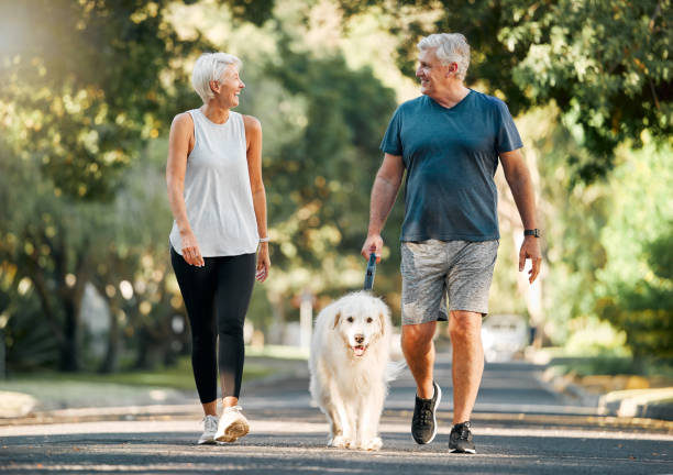 photo of large intestine is on the senior woman body against gray background, People With Stomach ache problem concept, Female anatomy old couple walking with their white dog.