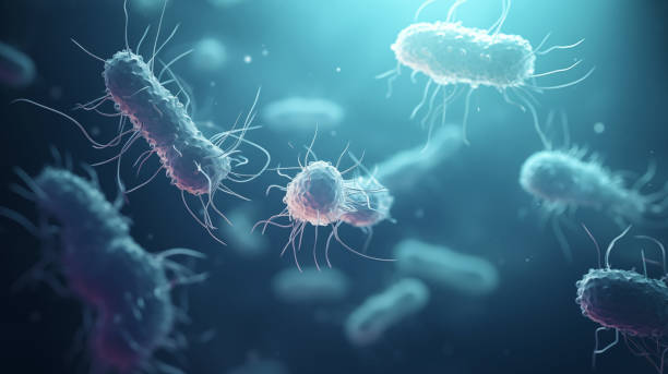 Bacteria Germ Pathogen Illustration fermenting in small intestine.