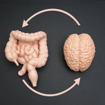 photo of large intestine is on the senior woman body against gray background, People With Stomach ache problem concept, Female anatomy