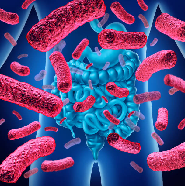 Image of a dietitian holding a stack of papers in hand which are test results. Intestine bacteria and gut flora or intestinal bacterium medical anatomy concept as a 3D illustration.